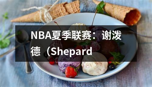 NBA夏季联赛：谢泼德（Shepard