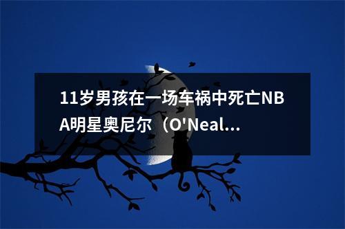 11岁男孩在一场车祸中死亡NBA明星奥尼尔（O'Neal）：我要为葬礼付费