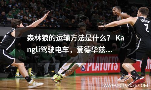森林狼的运输方法是什么？ Kangli驾驶电车，爱德华兹是最个人的！