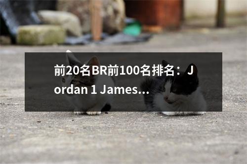 前20名BR前100名排名：Jordan 1 James 2 Duncan 7 Curry 10 Kobe 11 Durant 13