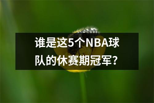 谁是这5个NBA球队的休赛期冠军？