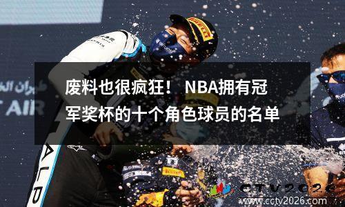 废料也很疯狂！ NBA拥有冠军奖杯的十个角色球员的名单