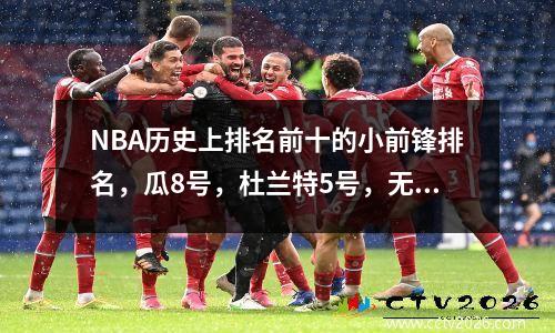 NBA历史上排名前十的小前锋排名，瓜8号，杜兰特5号，无悬念