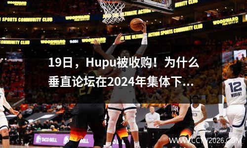 19日，Hupu被收购！为什么垂直论坛在2024年集体下降？如何逃避消除时代