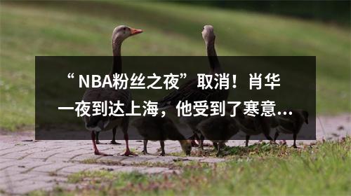 “ NBA粉丝之夜”取消！肖华一夜到达上海，他受到了寒意的欢迎.