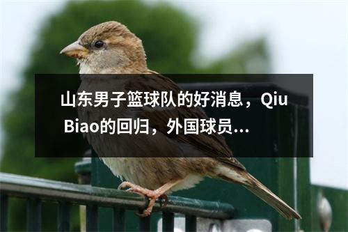 山东男子篮球队的好消息，Qiu Biao的回归，外国球员有一个亮点，三个返回球队，一个人没有机会加入