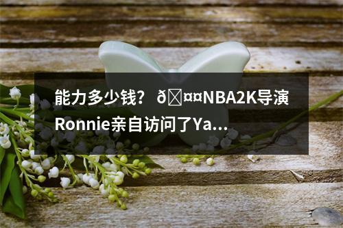 能力多少钱？