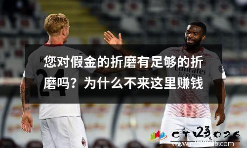 您对假金的折磨有足够的折磨吗？为什么不来这里赚钱