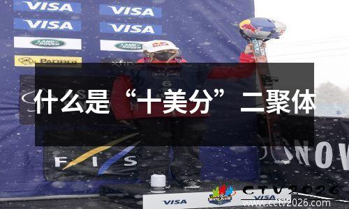 什么是“十美分”二聚体