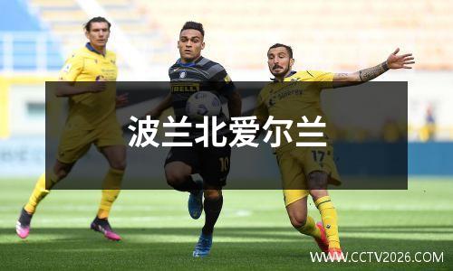 波兰北爱尔兰