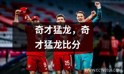 奇才猛龙，奇才猛龙比分