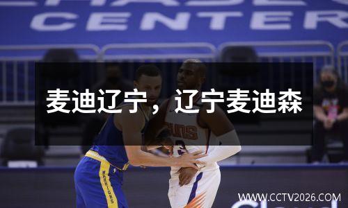 麦迪辽宁，辽宁麦迪森