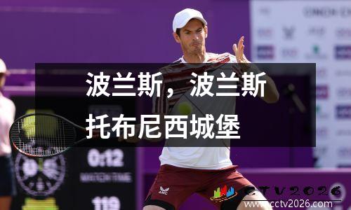 波兰斯，波兰斯托布尼西城堡