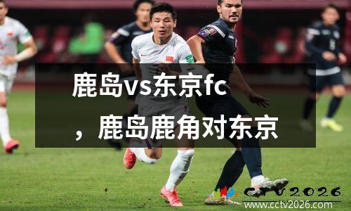 鹿岛vs东京fc，鹿岛鹿角对东京