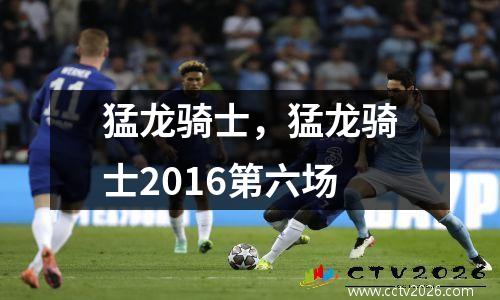 猛龙骑士，猛龙骑士2016第六场
