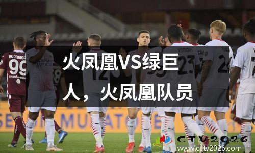 火凤凰VS绿巨人，火凤凰队员