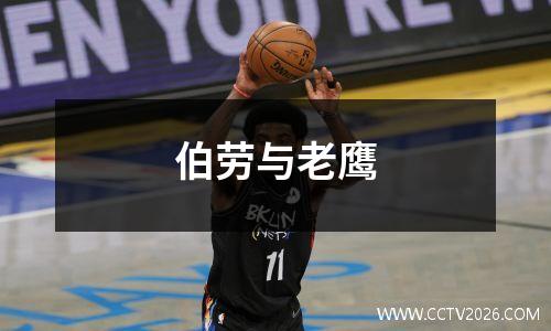 伯劳与老鹰