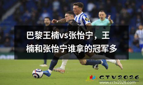 巴黎王楠vs张怡宁，王楠和张怡宁谁拿的冠军多