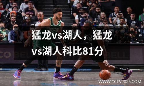 猛龙vs湖人，猛龙vs湖人科比81分