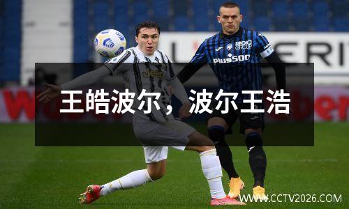 王皓波尔，波尔王浩