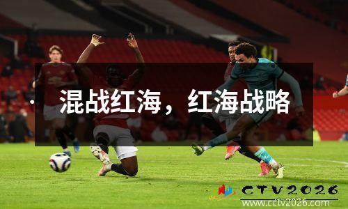 混战红海，红海战略