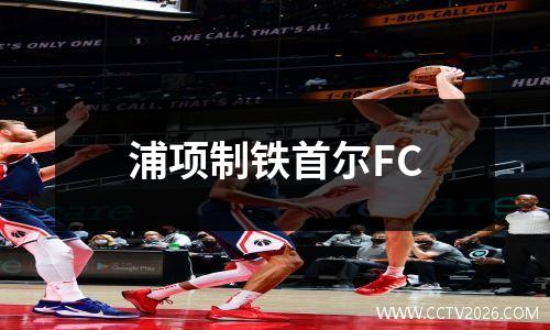 浦项制铁首尔FC