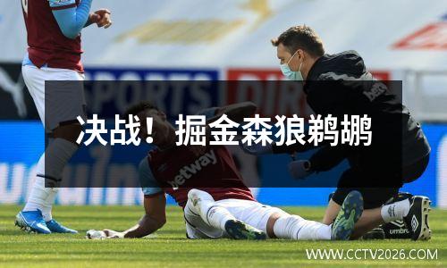 决战！掘金森狼鹈鹕