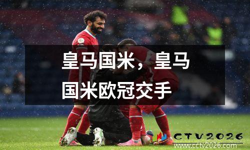 皇马国米，皇马国米欧冠交手