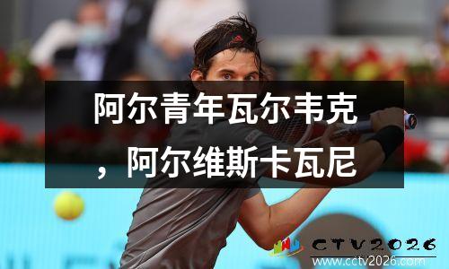 阿尔青年瓦尔韦克，阿尔维斯卡瓦尼