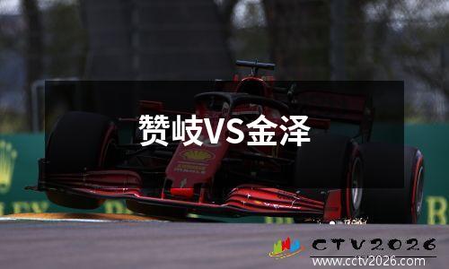 赞岐VS金泽
