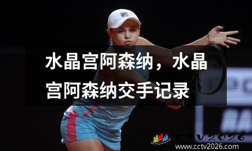 水晶宫阿森纳，水晶宫阿森纳交手记录
