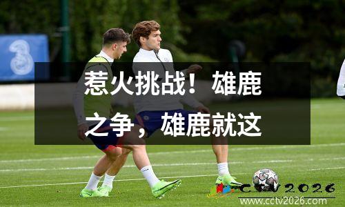 惹火挑战！雄鹿之争，雄鹿就这