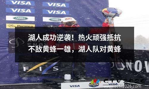 湖人成功逆袭！热火顽强抵抗不敌黄蜂一雄，湖人队对黄蜂