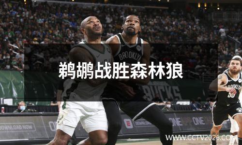 鹈鹕战胜森林狼