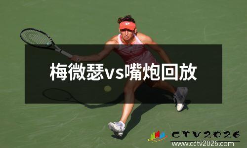 梅微瑟vs嘴炮回放