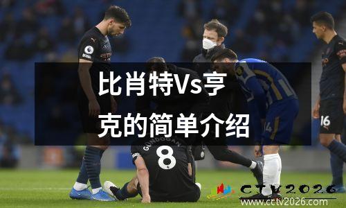比肖特Vs亨克的简单介绍