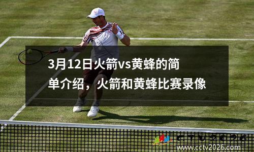 3月12日火箭vs黄蜂的简单介绍，火箭和黄蜂比赛录像