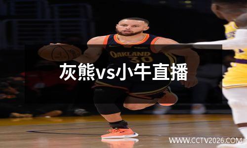 灰熊vs小牛直播