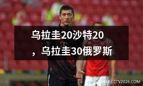 乌拉圭20沙特20，乌拉圭30俄罗斯