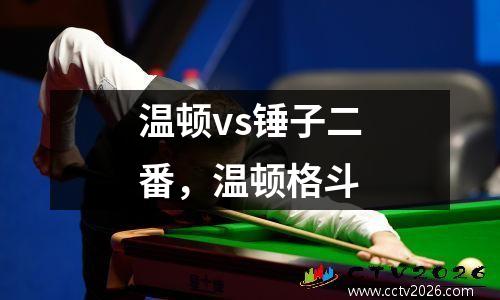 温顿vs锤子二番，温顿格斗