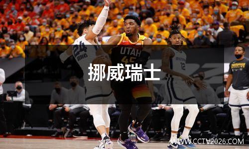 挪威瑞士