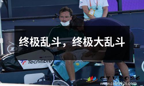 终极乱斗，终极大乱斗