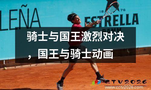 骑士与国王激烈对决，国王与骑士动画