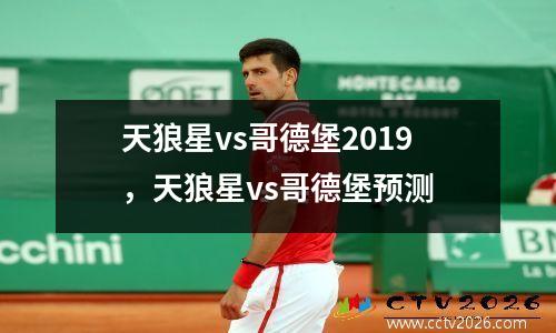 天狼星vs哥德堡2019，天狼星vs哥德堡预测