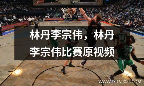 林丹李宗伟，林丹李宗伟比赛原视频