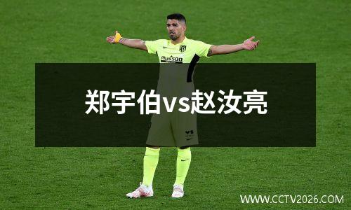 郑宇伯vs赵汝亮
