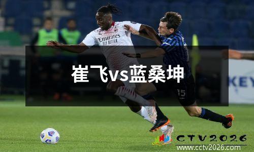 崔飞vs蓝桑坤