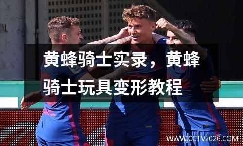 黄蜂骑士实录，黄蜂骑士玩具变形教程