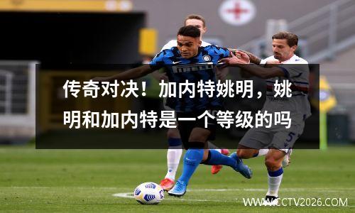 传奇对决！加内特姚明，姚明和加内特是一个等级的吗