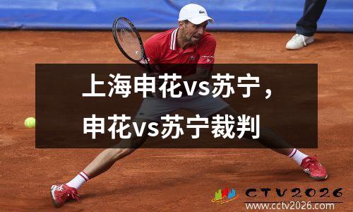 上海申花vs苏宁，申花vs苏宁裁判